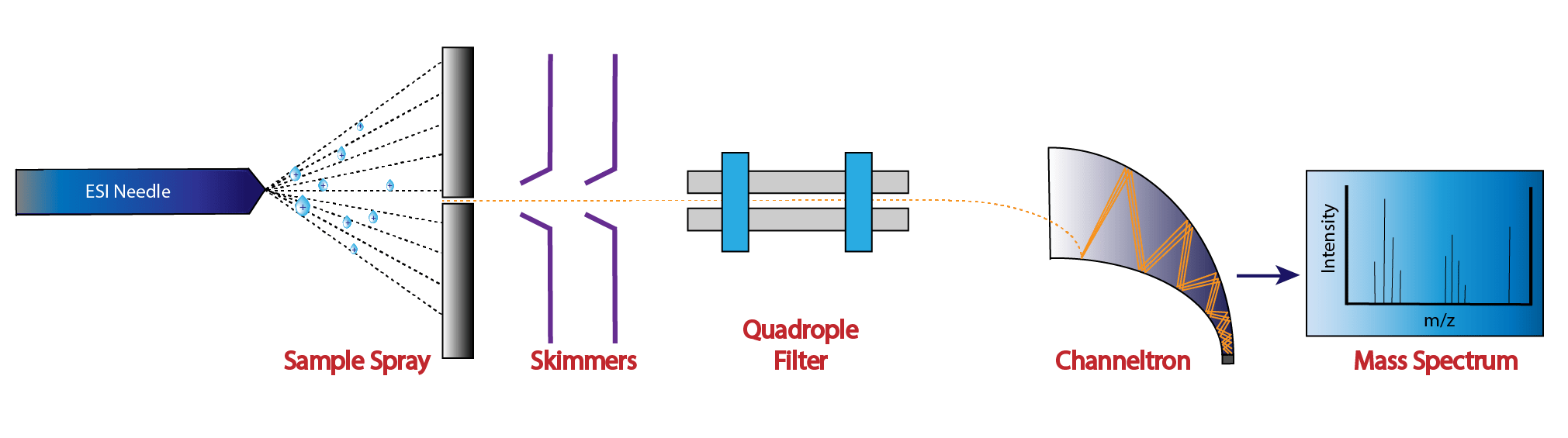 Mass Spec Testing Services NuMega Resonance Labs